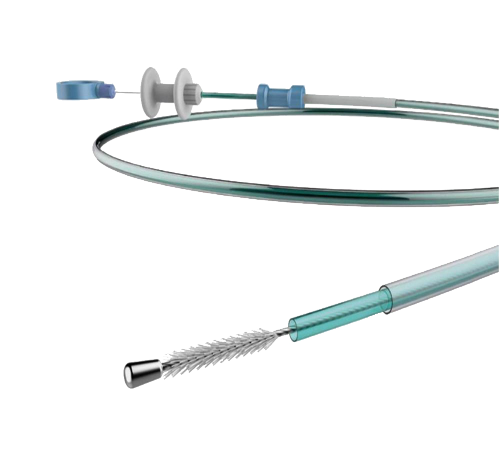 disposable cytology brush