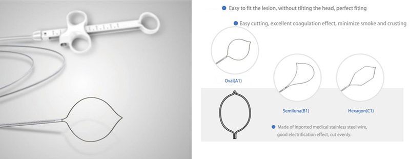 Disposable Polypectomy Cold Snares